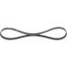 1 987 946 127 Keilrippenriemen Elastic 1 987 946 127 Keilrippenriemen Elastic