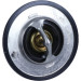 Thermostat, Kühlmittel | TH7261.88J