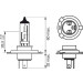 GLÜHLAMPE H4 12V/60/55W P43T PLUS 90 2 SZT. KARTONIK | 1987301422 GLÜHLAMPE H4 12V/60/55W P43T PLUS 90 2 SZT. KARTONIK | 1987301422