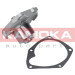 KAMOKA Wasserpumpe | T0103 KAMOKA Wasserpumpe | T0103