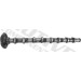 Nockenwelle | T4341 Nockenwelle | T4341