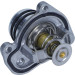 Thermostat, Kühlmittel | 352317100980