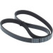 Keilrippenriemen | SUZUKI,HONDA,SMART,NISSAN | 1987947893 Keilrippenriemen | SUZUKI,HONDA,SMART,NISSAN | 1987947893
