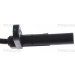 Sensor, Raddrehzahl | 818010323 Sensor, Raddrehzahl | 818010323
