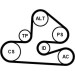 CONTINENTAL CTAM Keilrippenriemensatz 6PK1590K1