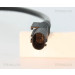 Sensor, Raddrehzahl | 818023705 Sensor, Raddrehzahl | 818023705