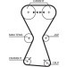 Zahnriemensatz | MITSUBISHI Colt,HYUNDAI Sonata | K015255XS Zahnriemensatz | MITSUBISHI Colt,HYUNDAI Sonata | K015255XS