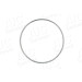 Sensorring ABS | FORD,SEAT,VW Sharan 95-10 | 54206 Sensorring ABS | FORD,SEAT,VW Sharan 95-10 | 54206