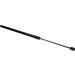 Gasfeder, Hinten L=572 620N | VW T-ROC 17 | 794469 Gasfeder, Hinten L=572 620N | VW T-ROC 17 | 794469