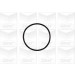 PA 837 Wasserpumpe | CITROEN Berl,C3, PEUGEOT 206 | PA837