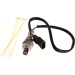 Lambdasonde | Renault Megane 1.6 10 | 91625 Lambdasonde | Renault Megane 1.6 10 | 91625