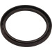 Wellendichtring Kurbelwelle | MINI 00 | 81-34798-00 Wellendichtring Kurbelwelle | MINI 00 | 81-34798-00