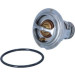 Thermostat, Kühlmittel | 725209 Thermostat, Kühlmittel | 725209