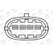 BorgWarner (BERU) Zündspule BorgWarner (BERU) Zündspule