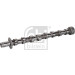 FEBI BILSTEIN Nockenwelle | 176294 FEBI BILSTEIN Nockenwelle | 176294