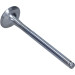 Auslassventil | R4875/RCR Auslassventil | R4875/RCR
