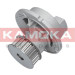 KAMOKA Wasserpumpe T0236