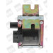 BorgWarner (BERU) Zündspule | ZS244