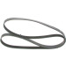Keilrippenriemen | FORD,CITROEN,VW,SUBARU | 1987946002 Keilrippenriemen | FORD,CITROEN,VW,SUBARU | 1987946002