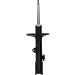 Stoßdämpfer | 313807 Stoßdämpfer | 313807
