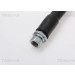 Bremsschlauch | 815016242 Bremsschlauch | 815016242
