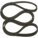 Keilrippenriemen | FORD,BMW,VW,OPEL | 1987947949 Keilrippenriemen | FORD,BMW,VW,OPEL | 1987947949