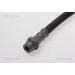 Bremsschlauch | 815016285 Bremsschlauch | 815016285