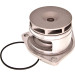 Wasserpumpe | 47-0161 Wasserpumpe | 47-0161