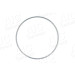 Sensorring ABS | BMW | 55330