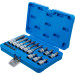 BGS Bit-Einsatz-Satz | Antrieb Innenvierkant 6,3 mm (1/4"""") / 12,5 mm (1/2"""") | T-Profil (für Torx) mit Bohrung | 18-tlg | 5174 BGS Bit-Einsatz-Satz | Antrieb Innenvierkant 6,3 mm (1/4"""") / 12,5 mm (1/2"""") | T-Profil (für Torx) mit Bohrung | 18-tlg | 5174