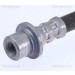 Bremsschlauch | 815040119 Bremsschlauch | 815040119