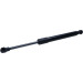Gasfeder, Motorhaube | 162504 Gasfeder, Motorhaube | 162504
