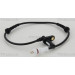 Sensor, Raddrehzahl | 818025102 Sensor, Raddrehzahl | 818025102