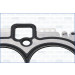 10250000 Dichtung, Zylinderkopf MULTILAYER STEEL