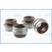 57004900 Dichtungssatz, Ventilschaft