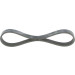 Keilrippenriemen ALFA,FIAT Elastic 1987946139