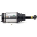 Arnott Luftfederbein HA | LAND ROVER Discovery,RR Sport 04 | AS-2534 Arnott Luftfederbein HA | LAND ROVER Discovery,RR Sport 04 | AS-2534