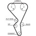Zahnriemenkit | CITROEN,PEUGEOT 308 00 | K035581XS Zahnriemenkit | CITROEN,PEUGEOT 308 00 | K035581XS