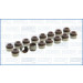 57013800 Dichtungssatz, Ventilschaft