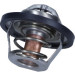 Thermostat, Kühlmittel | 352317100320