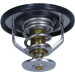 Thermostat, Kühlmittel | TH7261.85J