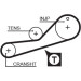 Zahnriemensatz | FORD,MAZDA | K025451XS Zahnriemensatz | FORD,MAZDA | K025451XS