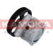 KAMOKA Hydraulikpumpe, Lenkung PP052