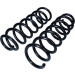 Fahrwerksfeder | 60-1096D Fahrwerksfeder | 60-1096D