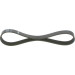 1 987 946 131 Keilrippenriemen Elastic