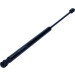 Gasfeder, Koffer-/Laderaum | 12-0090 Gasfeder, Koffer-/Laderaum | 12-0090