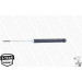 MONROE ORIGINAL-Gasdämpfer HA | HYUNDAI Getz 02 | G21659