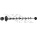 Nockenwelle | T4341 Nockenwelle | T4341