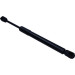Gasfeder, Koffer-/Laderaum | 154833 Gasfeder, Koffer-/Laderaum | 154833