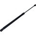 Gasfeder, Koffer-/Laderaum | 163965 Gasfeder, Koffer-/Laderaum | 163965
